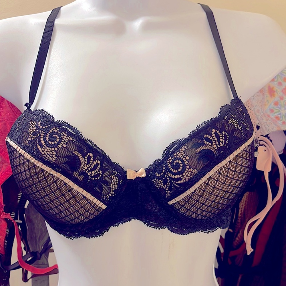 Fishnet & Floral Lace Black & Pink push up Bra